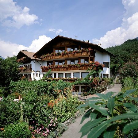 Hotel Garni Lichtenau Скена Экстерьер фото